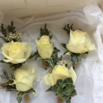 Rose buttonholes supplied by Creative Floral Designs